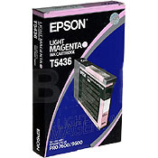 Epson T543600 Light Magenta OEM Inkjet Cartridge